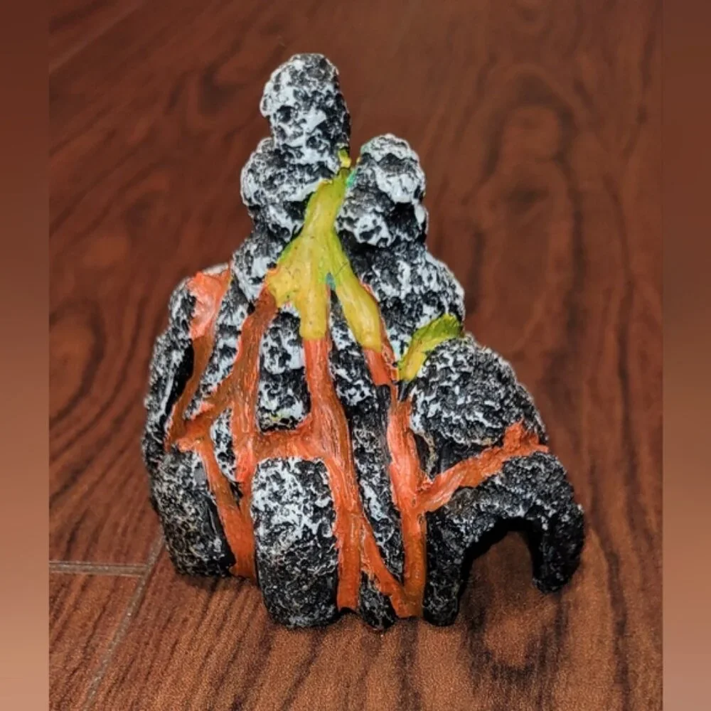 Fish lava rock decor